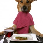 chien a table